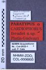 Etiketten zu Cardiophorus freudei (Platia & Gudenzi, 2000) (NHMW-ZOO-COL-0006800)